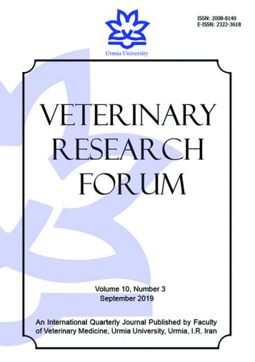 veterinary research forum