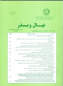 نهال و بذر