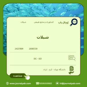 شیلات